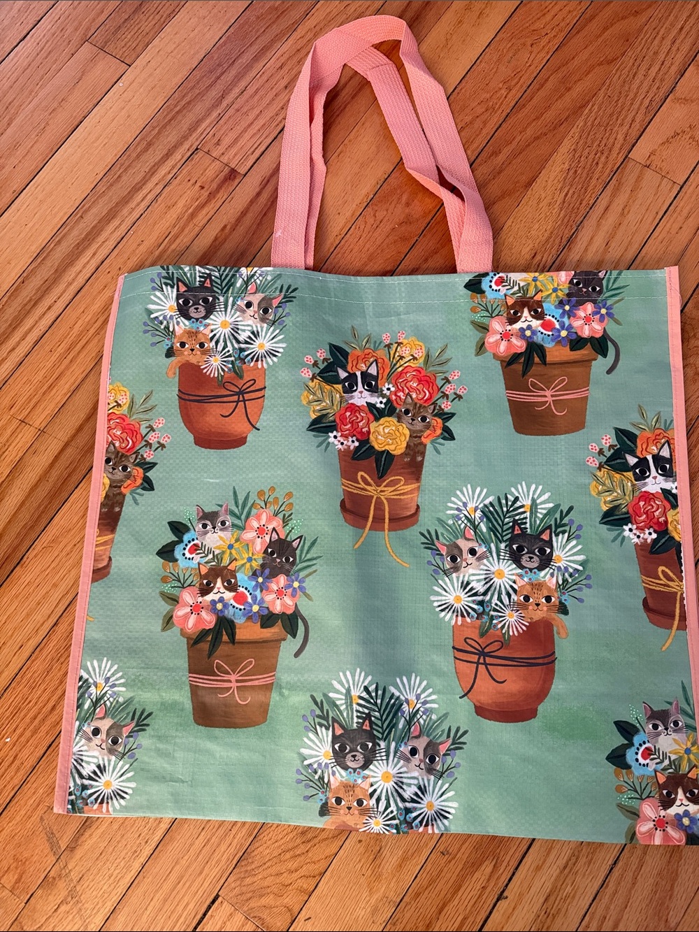 Marshalls TJ Maxx Reusable Tote Bag with Floral Cat Planter Print Pink/Green